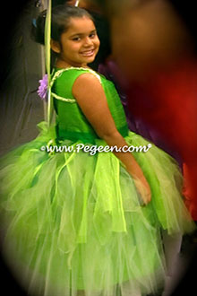 Fairy Tale Flower Girl Dress 901