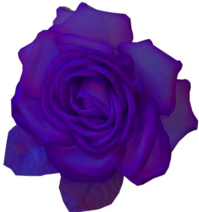 Purple silk flower