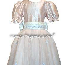 Sugar Plum Fairy in Pink Nutcracker Dress or Costume