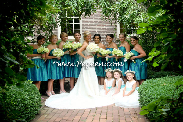 Pegeen aqua, tiffany blue and bisque creme or ivory tulle Wedding of the Year