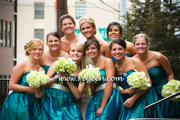 Pegeen aqua, tiffany blue and bisque creme or ivory tulle Wedding of the Year