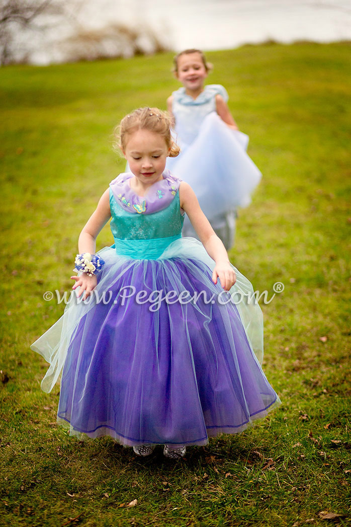 Disney Cinderella Inspired Flower Girl Dress