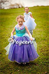 Cinderella inspired flower girl Dresses