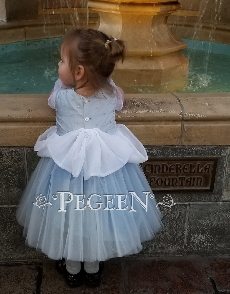Cinderella Toddler silk and tulle flower girl dress Disney World visit
