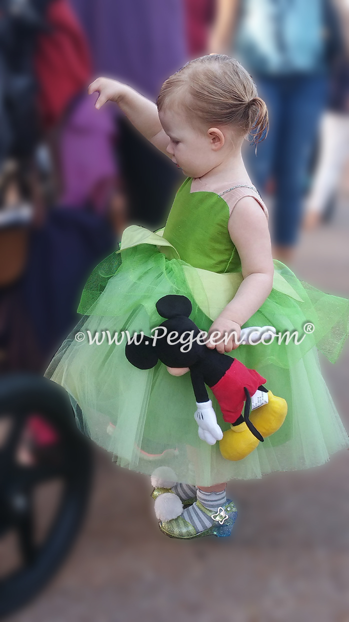 Toddler Tinkerbell Tulle Dress