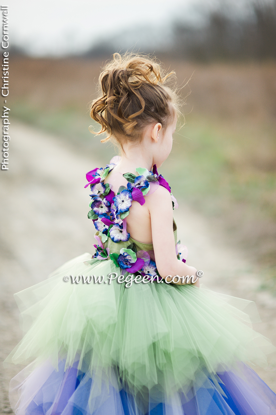 Purple and Green Fairy Tale Tulle Cotillion Dress - Pegeen Style 920