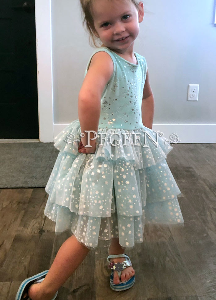 Elsa Frozen Princess Everyday dress Style 1103