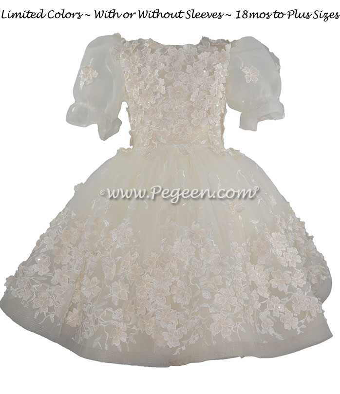 Champagne tulle and beading trimmed flower girl dress with 3D flowers on netting