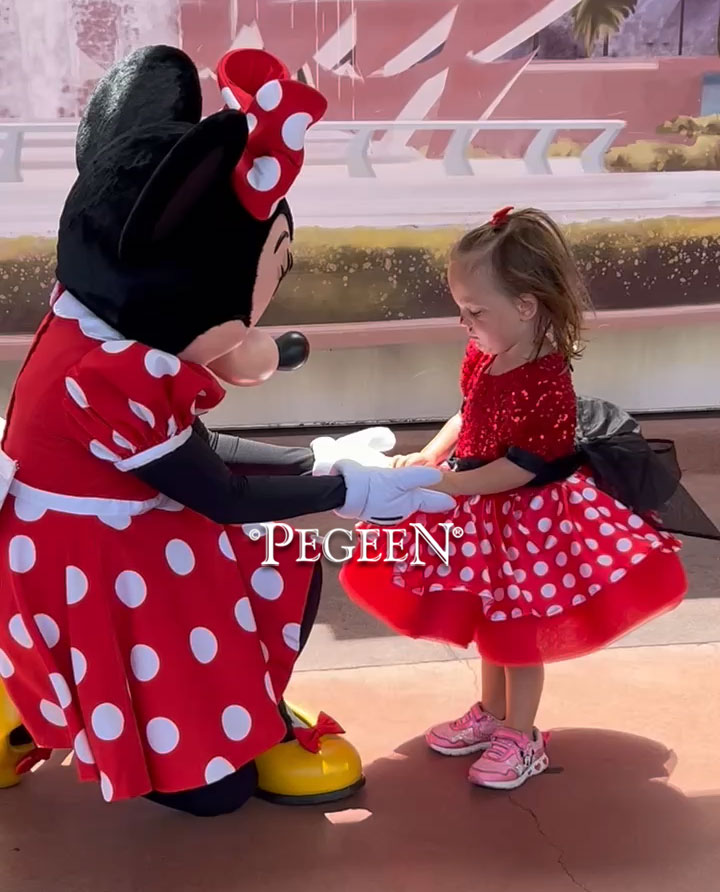 Disney Inspired Princess Everyday Dress by Pegeen - Minnie Mouse