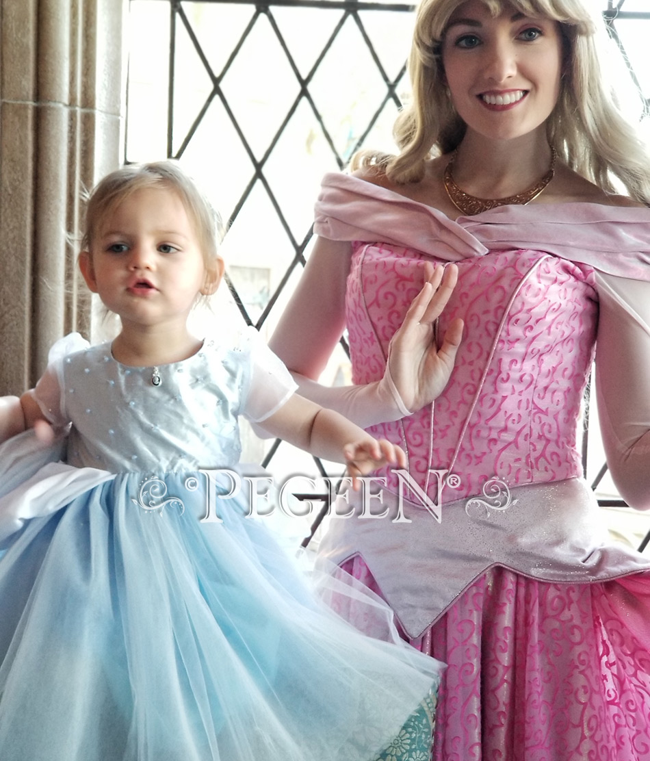 Cinderella Toddler Flower Girl Dress Style 812
