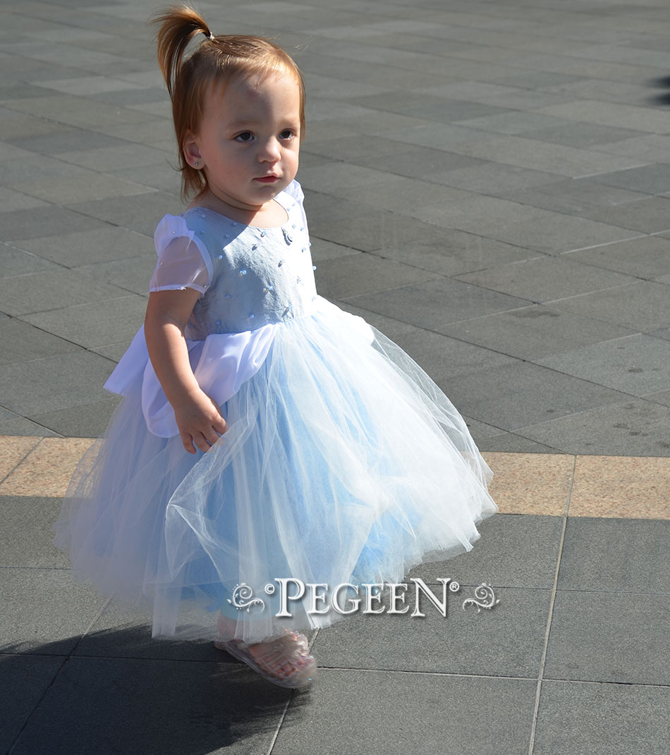 Cinderella Disney Style flower girl dress for 18 month old