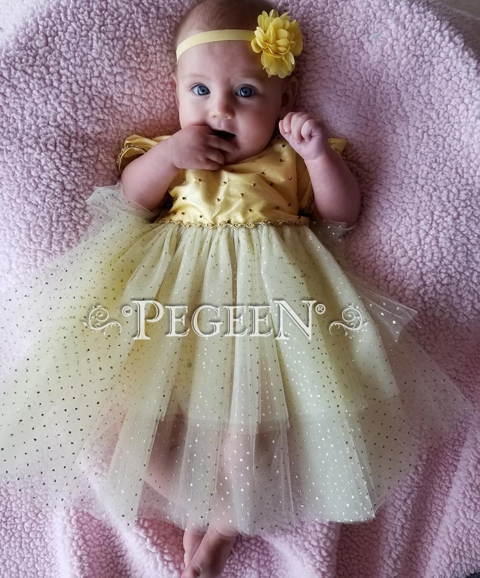 Disney Inspired Beauty and The Beast Infant Silk Flower Girl Dresses