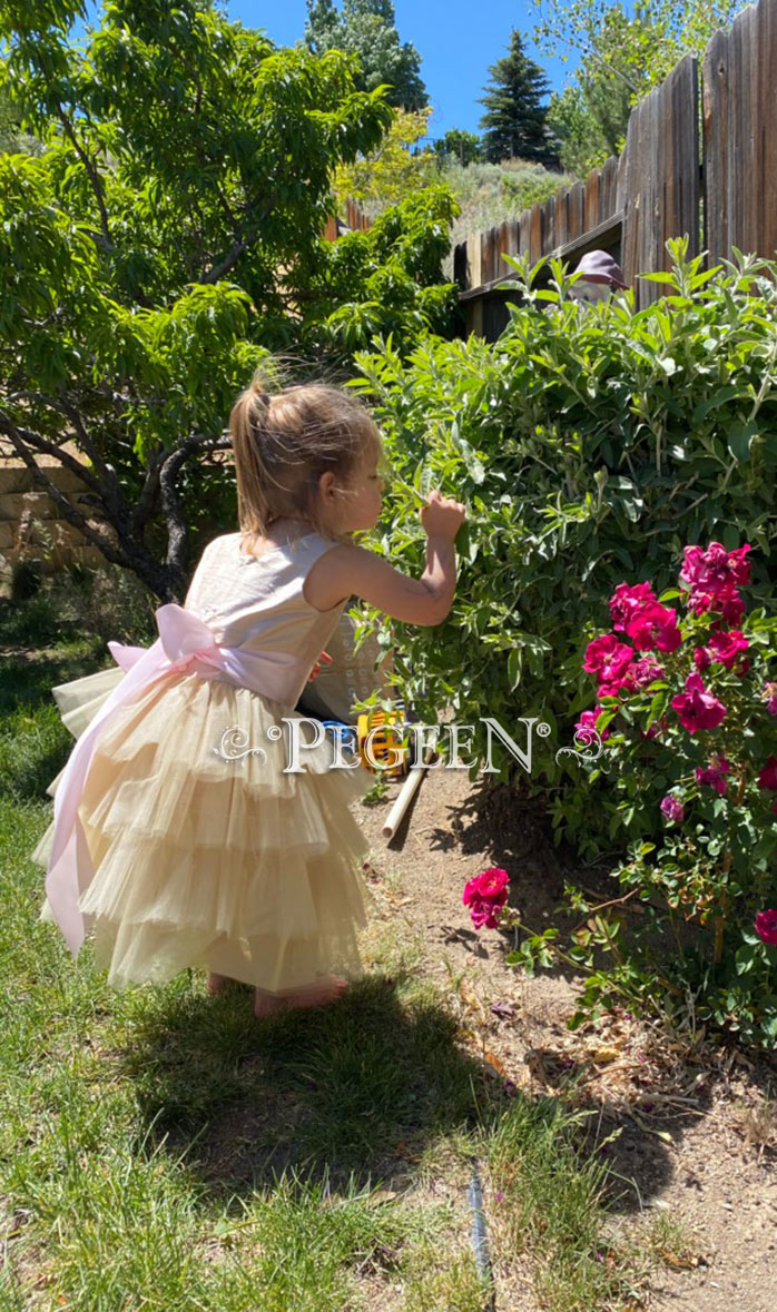 Disney Inspired Flower Girl Dresses