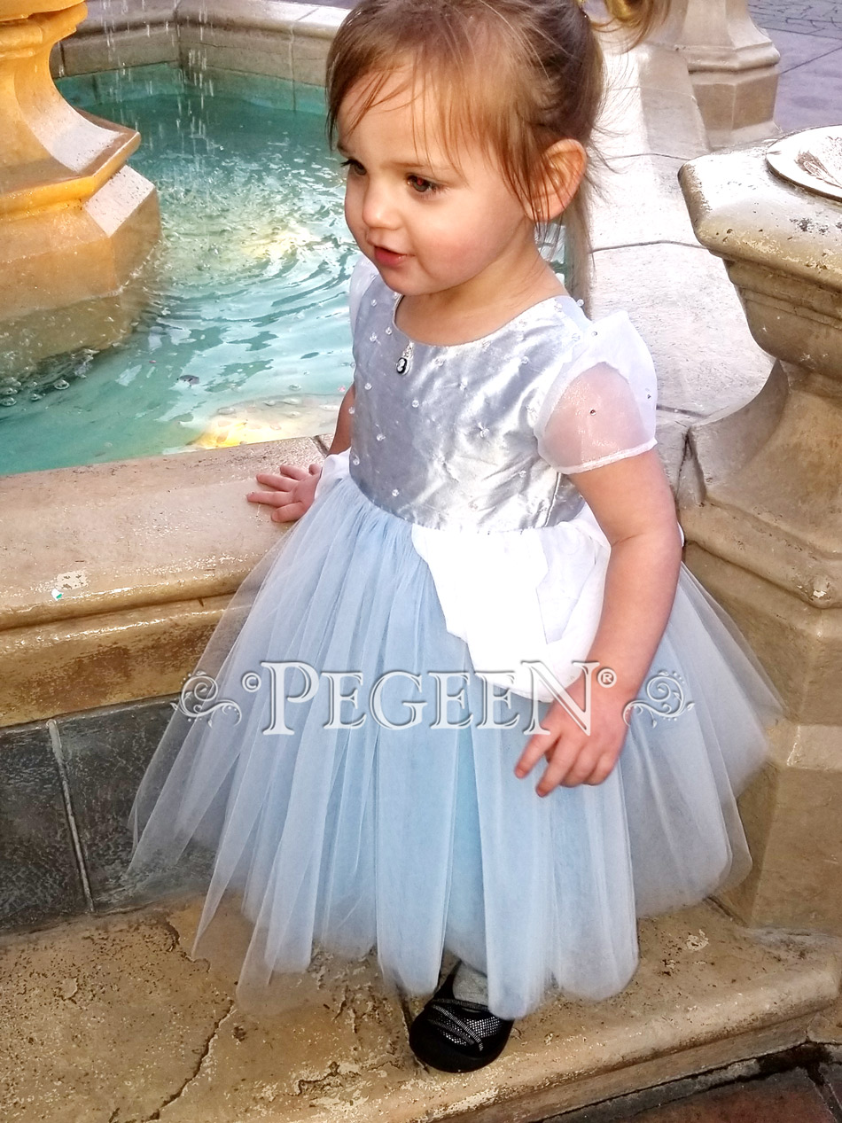 Cinderella inspired flower girl dress