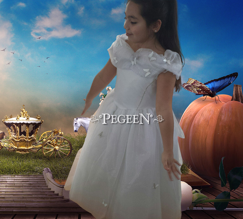 CInderella inspired flower girl dress