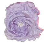 Lavender Heaven Rose