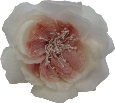 Optional Tami Flower Shown in Old Rose