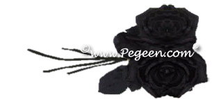 Black Trailing Rose