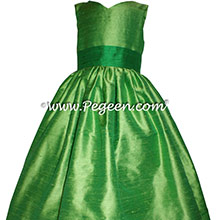 Tinkerbell Fairy Dress in Shamrock Green