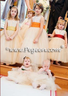 Flower Girl Dresses in Multi Colored Silk Sashes and Champagne Tulle