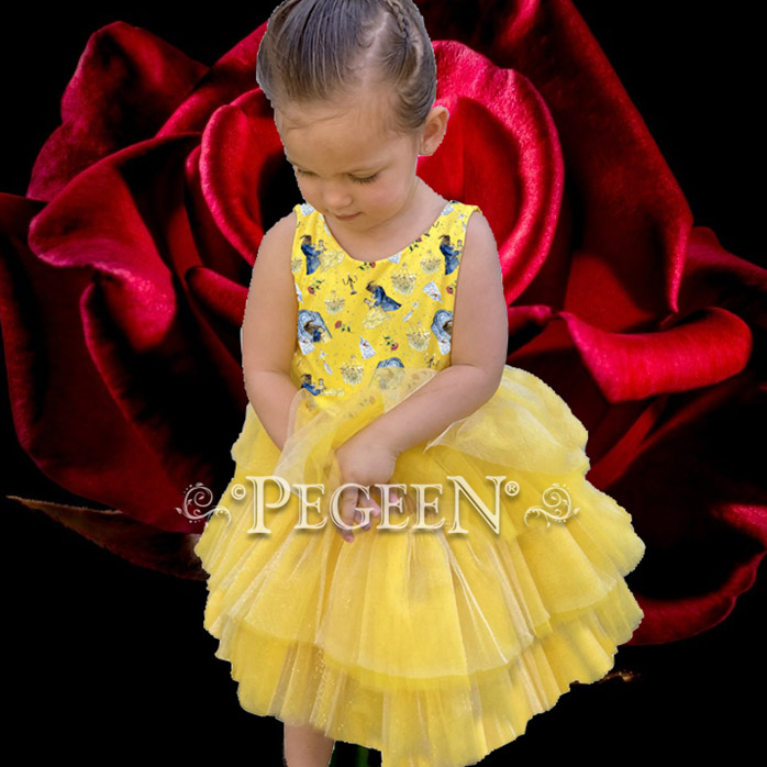 Beauty and the Beast Inspired princess dress for everyday