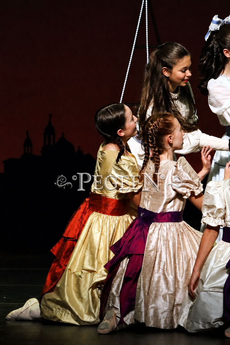 The Nutcracker Costume 701