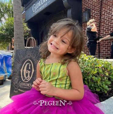 Princess Everyday Dress - Anna Inspired | Pegeen 1154