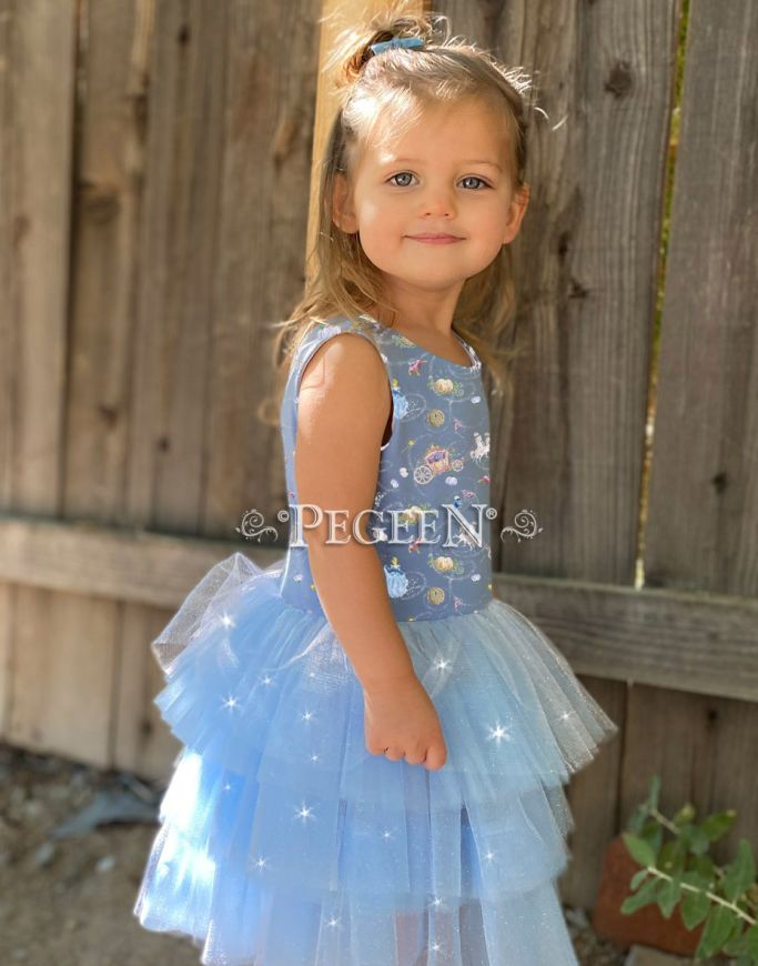 Princess Cinderella Dress 1117