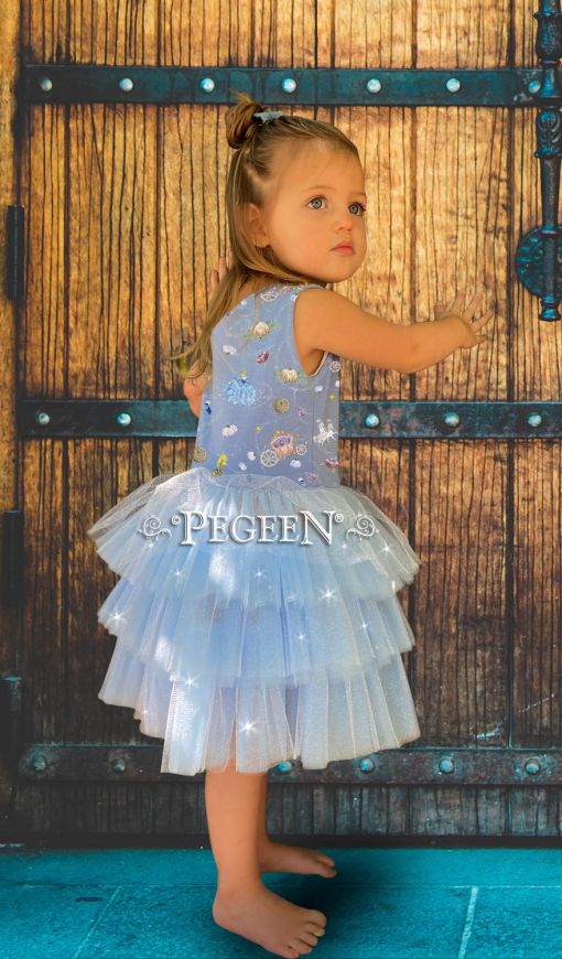 Princess Cinderella Dress 1117