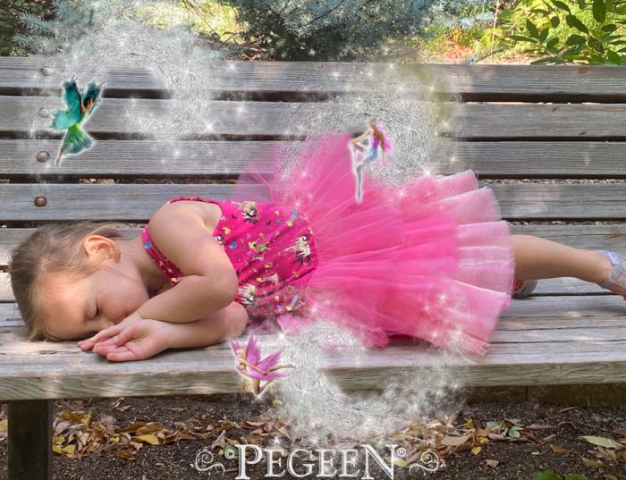 Princess Dress - Sleeping Beauty 1132