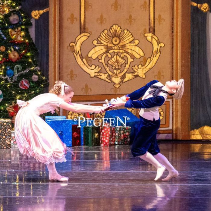 The Nutcracker Dress 712 Clara's Costume