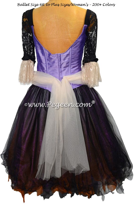 TUTU 741 Cinderella Rags Costume | Pegeen 