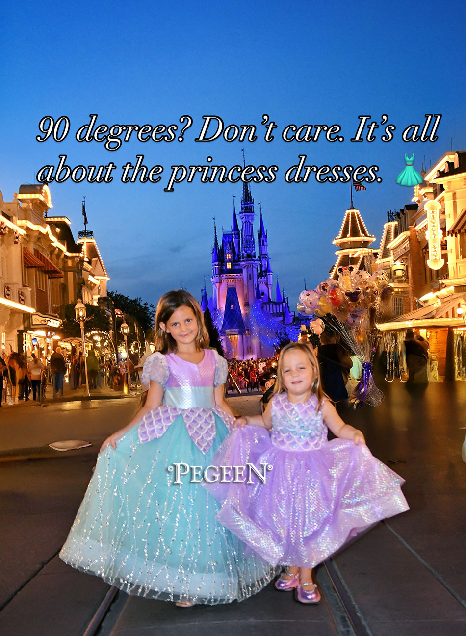 Mermaid Flower Girl Dresses at Disney World