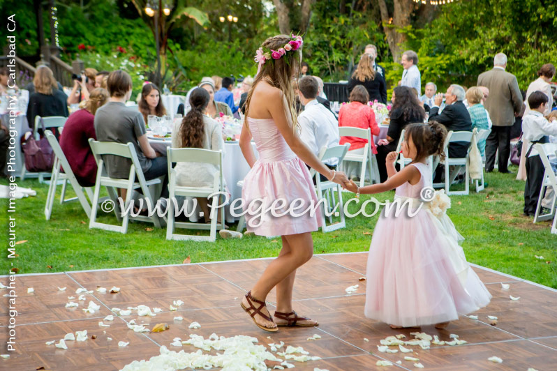 Flower Girl Dress of the Year in Shades of Pink Silk