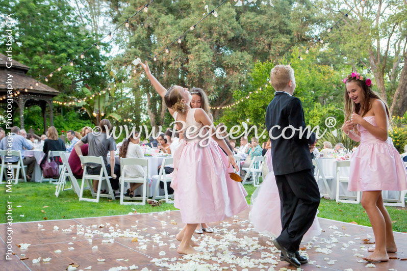 Flower Girl Dress of the Year in Shades of Pink Silk